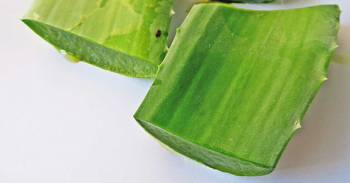 aloja vera za lice