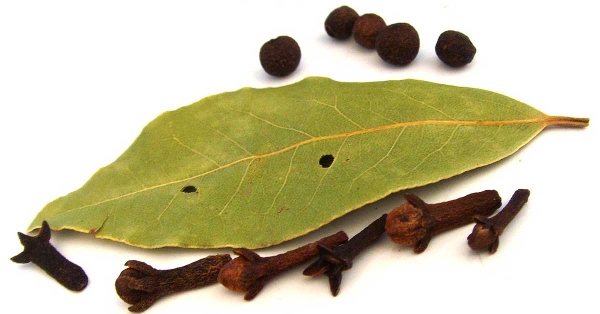  Isprobajte lovorov list za kašalj!