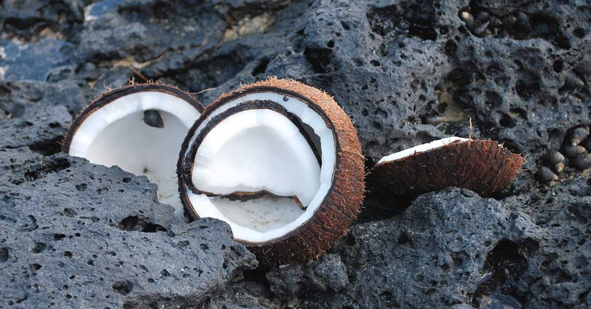 kokosovo ulje za celulit