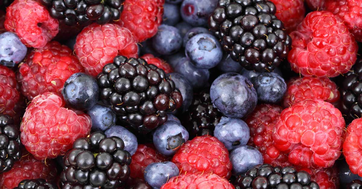  ﻿ Top 10 – hrana protiv bora