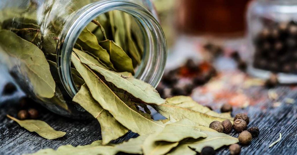 lovorov list za kosu