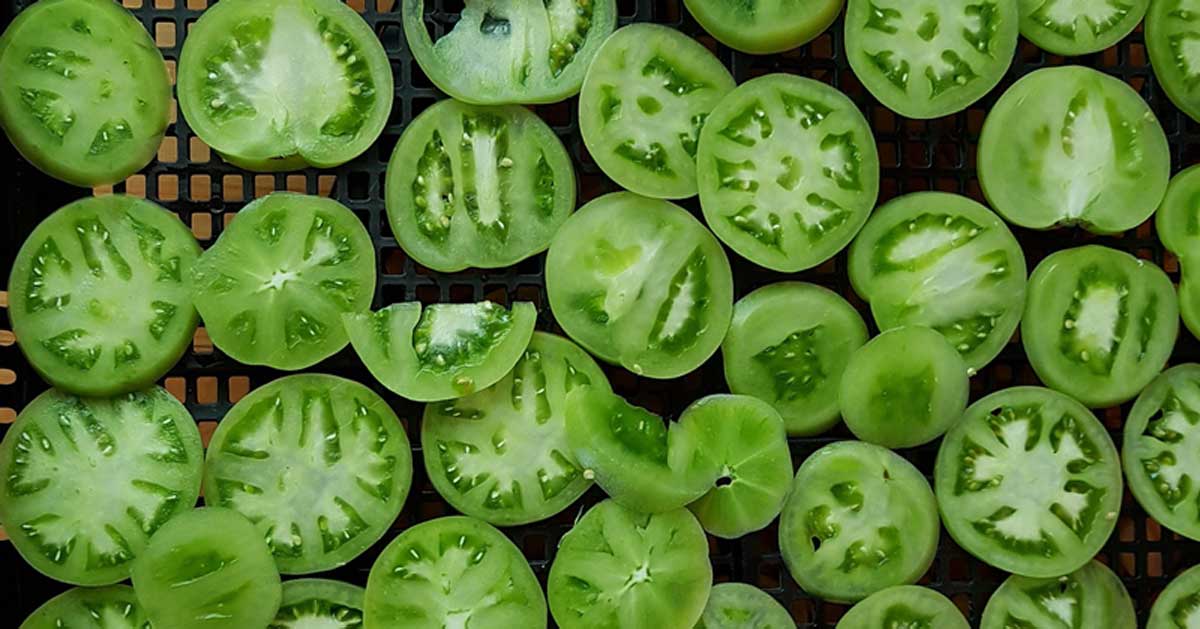  Čudo zvano zeleni paradajz za proširene vene