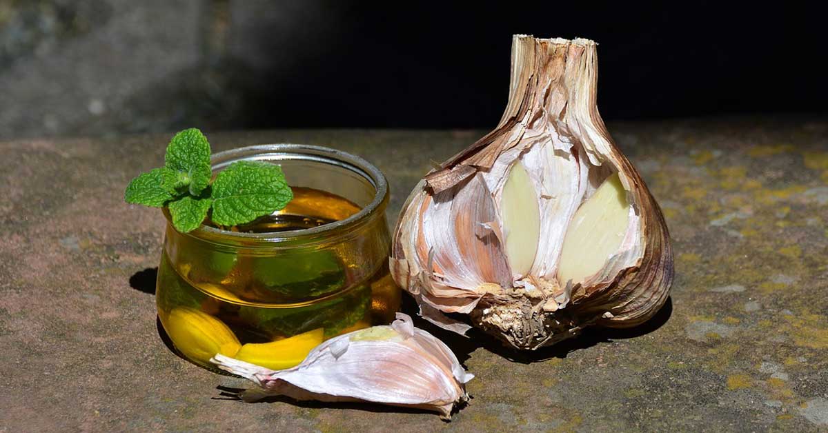  Fantastično ulje belog luka za lečenje vena