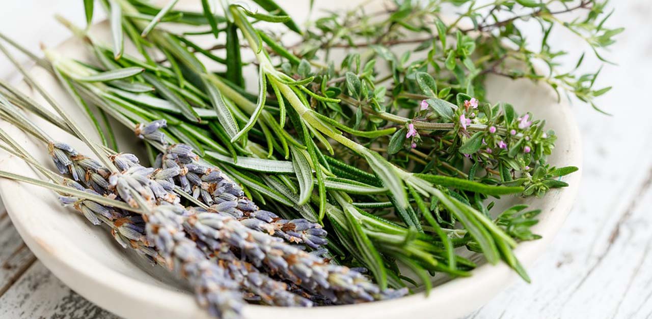  Ruzmarin za vene deluje, a evo i kako!