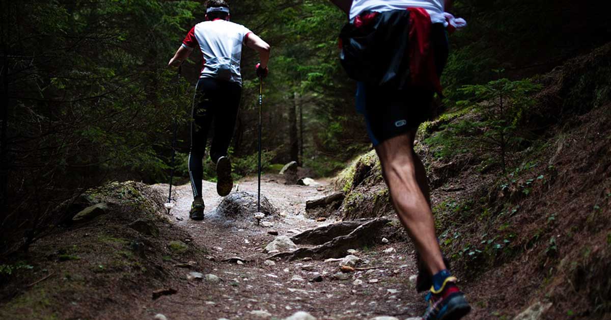  Kako ojačati zidove vena?