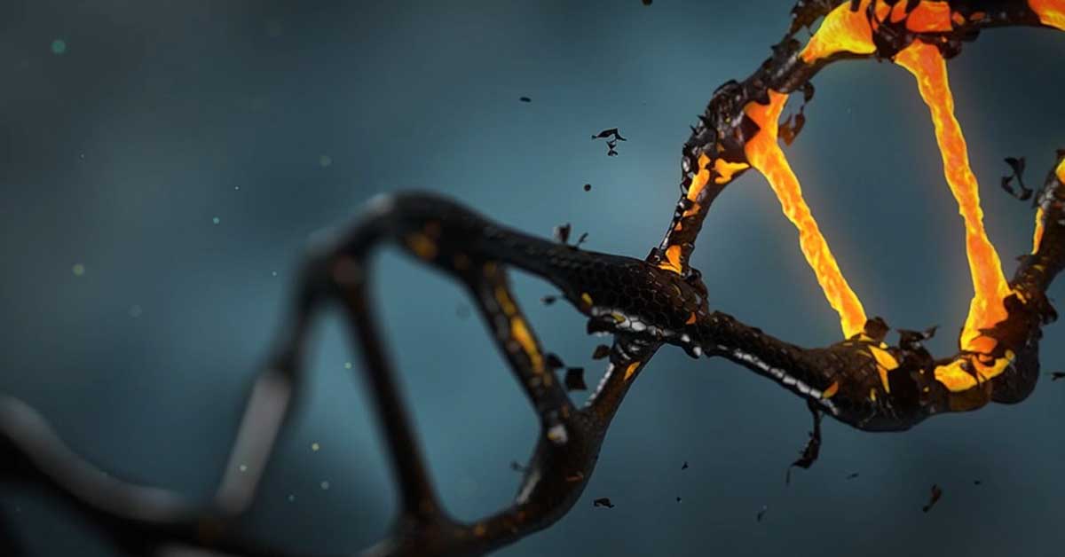  Saznajte kakav je uticaj slobodnih radikala na kožu