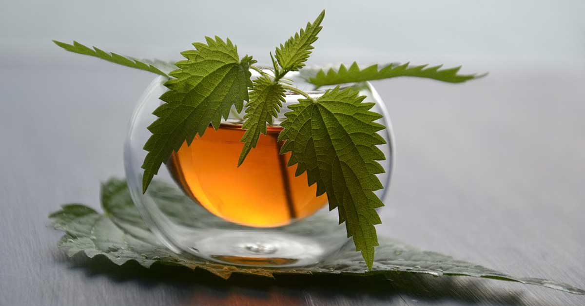  Biljne kapi od koprive za kosu su vam zaista potrebne!