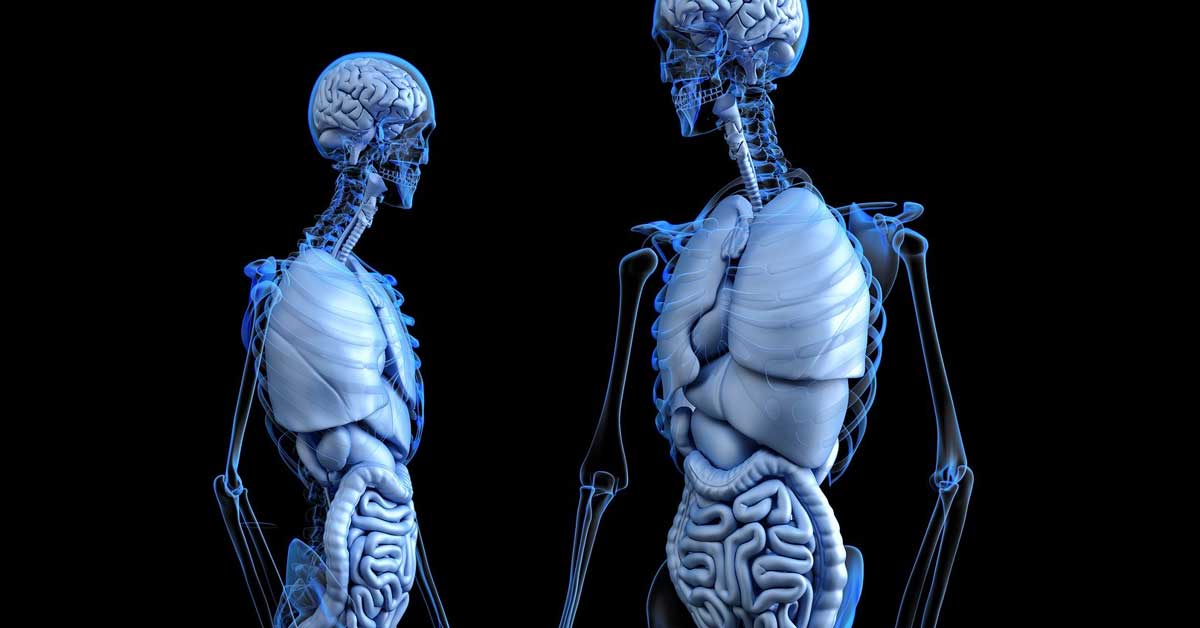  Biorezonanca: komplentna slika zdravlja u jednom pregledu