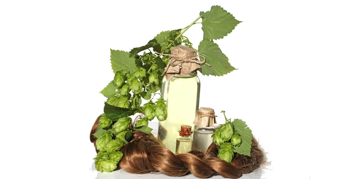  Hmelj za kosu koja ne opada, jaka je i nema peruti!