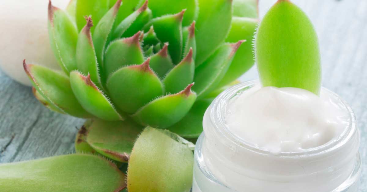  Čuvarkuća i gljivice na noktima:rešenje koje niste ni slutili!