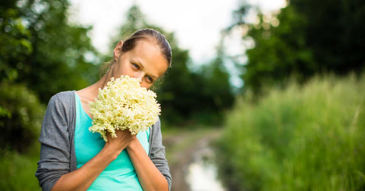  Melem od zove za akne čisti kožu u par koraka! (recepti)