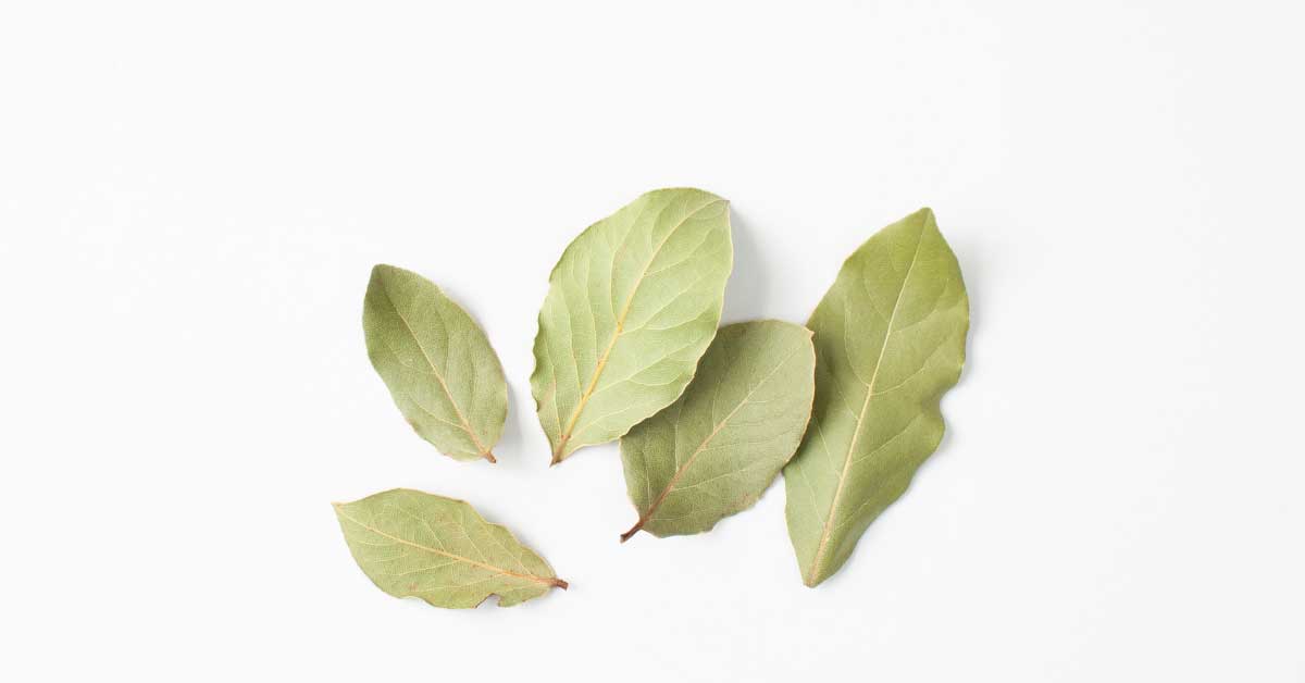  Isprobajte lovorov list za akne po ovim receptima!