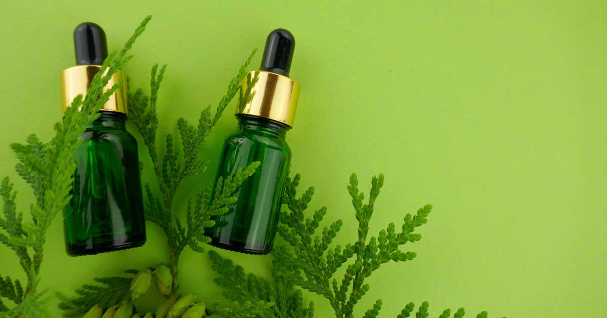  Tuja za kosu – novitet ili nešto poznato?