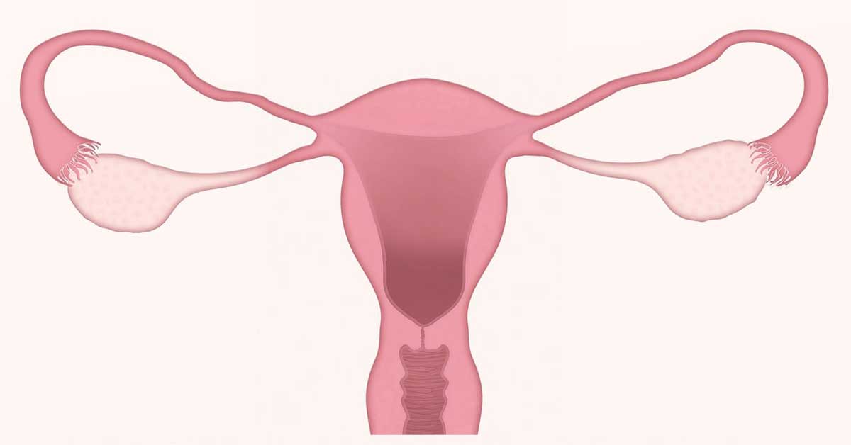 ginekološko preventivni pregledi